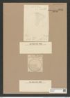 Coscinodiscus diplostictus Grun. (de-Toni-Nr.: Genus 202, Species 5097) Zeichnungen Sammlung Grunow Nr. 8856 (NHMW-BOT-W0378487)